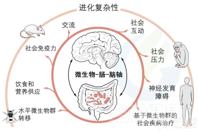 中国发酵食品可能孕育着诺贝尔奖——兼论“微生物社会行为学”